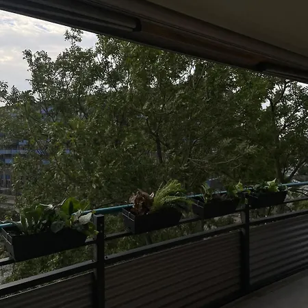 Large West With Balcony Apartment Amsterdam
